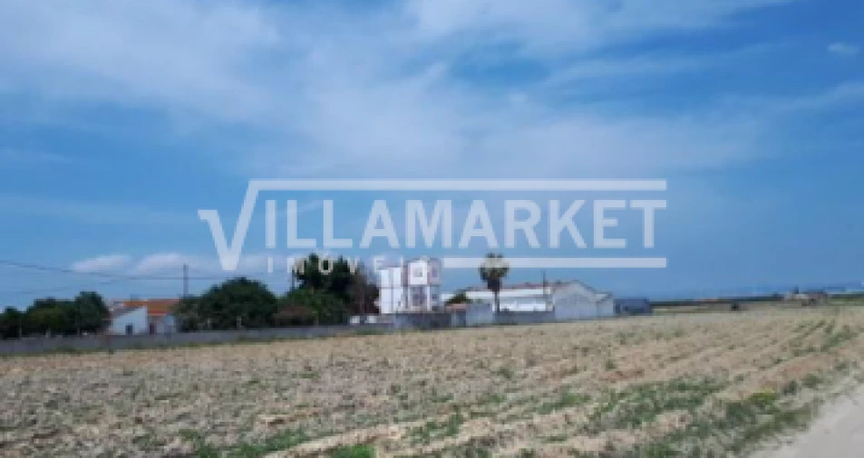 Terreno para Venda em Montijo e Afonsoeiro Foto 3