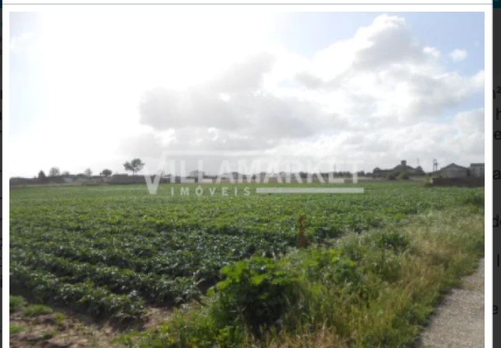 Terreno para Venda em Montijo e Afonsoeiro Foto 4