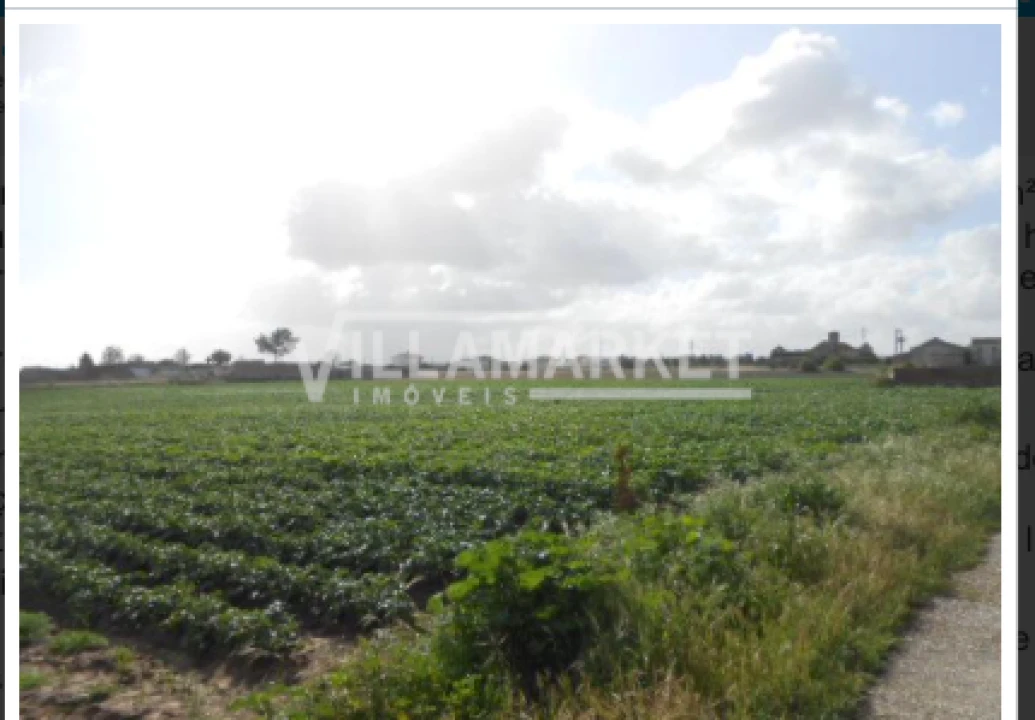Terreno para Venda em Montijo e Afonsoeiro Foto 4
