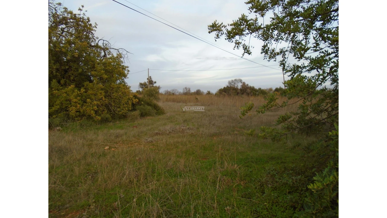 Terreno para Venda em Tavira (Santa Maria e Santiago) Foto 38