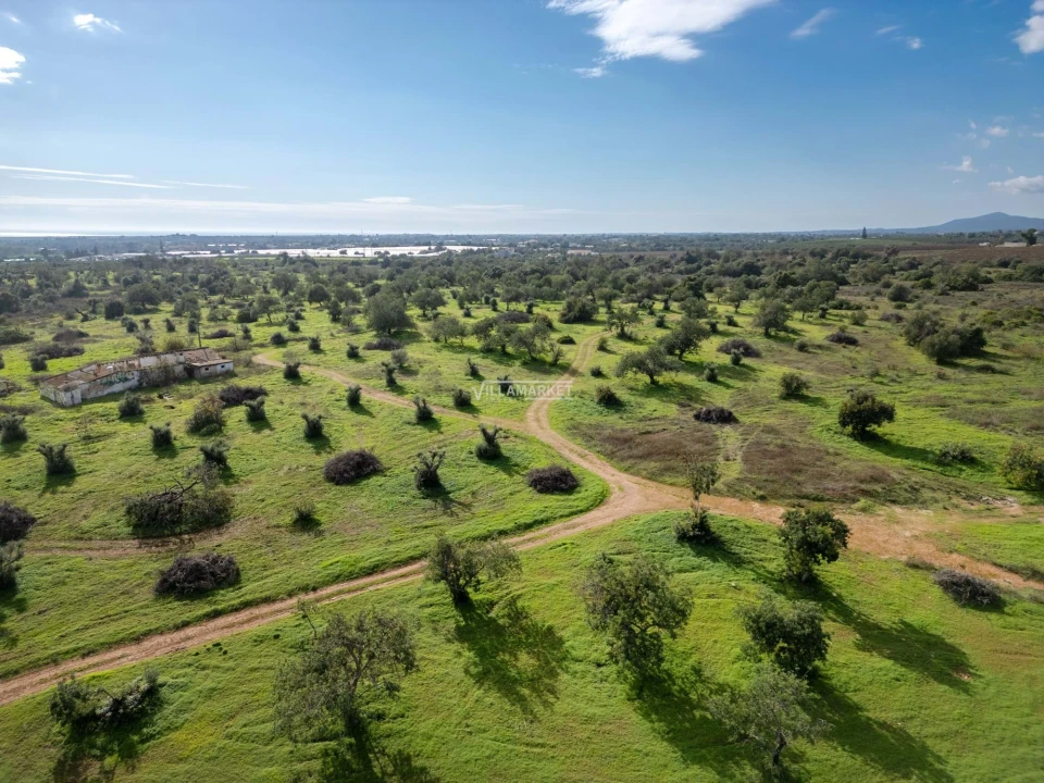 Terreno para Venda em Tavira (Santa Maria e Santiago) Foto 14