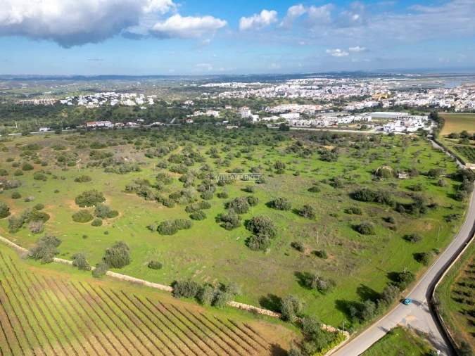 Terreno para Venda em Tavira (Santa Maria e Santiago) Foto 3