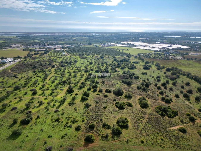 Terreno para Venda em Tavira (Santa Maria e Santiago) Foto 18