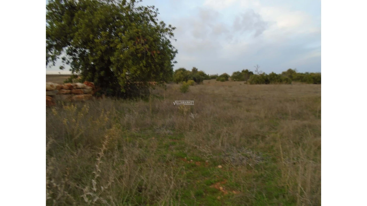 Terreno para Venda em Tavira (Santa Maria e Santiago) Foto 24