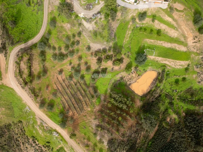 Terreno para Venda em Odeleite Foto 17