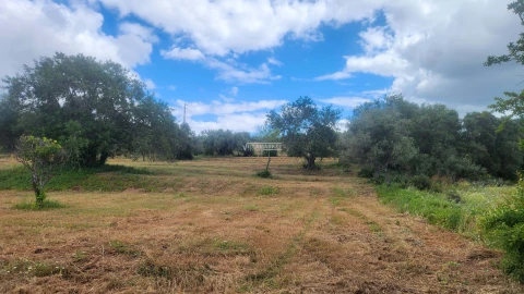 Terreno para Venda em Quelfes