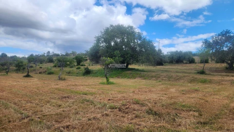 Terreno para Venda em Quelfes