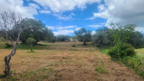 Terreno para Venda em Quelfes