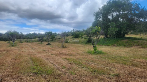 Terreno para Venda em Quelfes