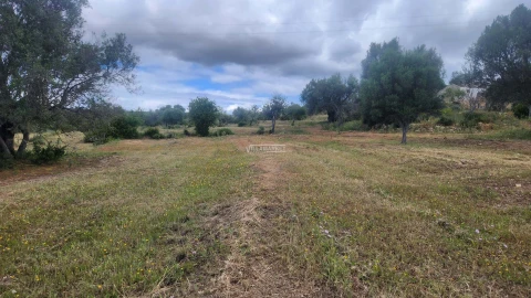 Terreno para Venda em Quelfes