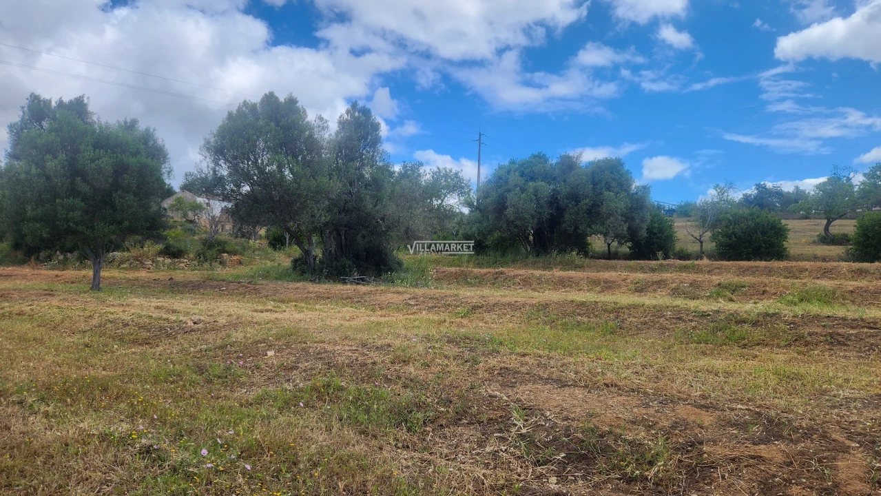Terreno para Venda em Quelfes Foto 19