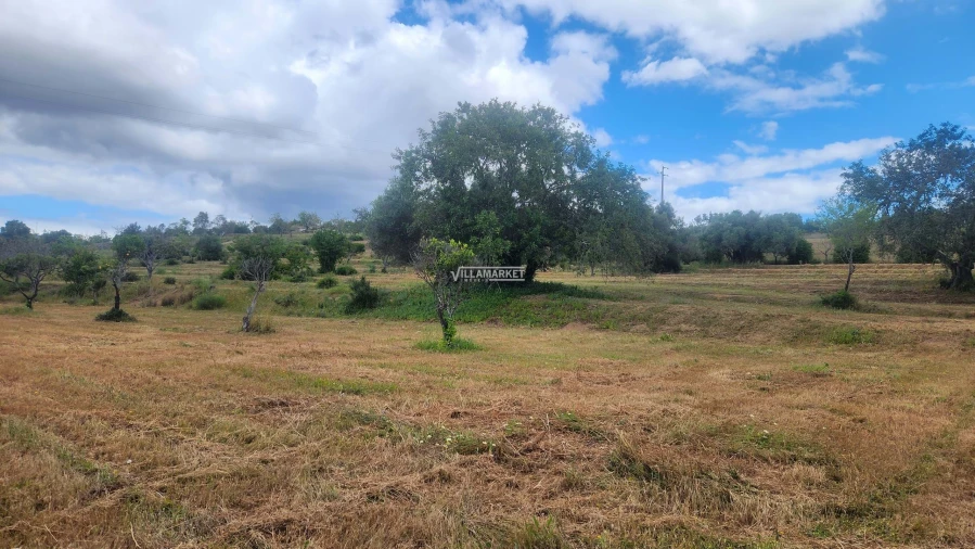 Terreno para Venda em Quelfes Foto 22
