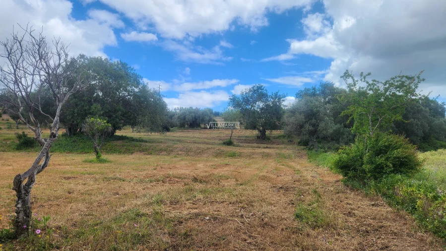 Terreno para Venda em Quelfes Foto 23