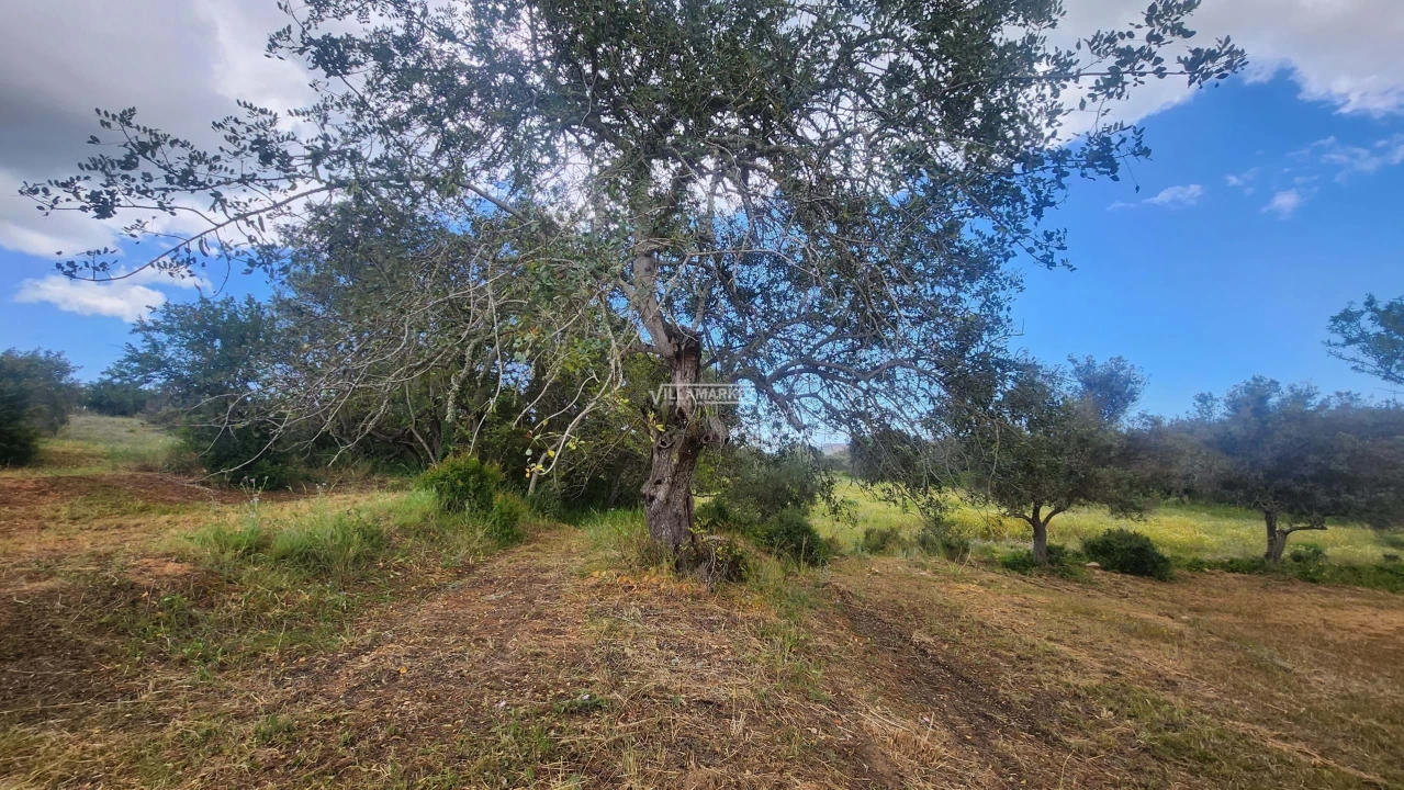 Terreno para Venda em Quelfes Foto 17