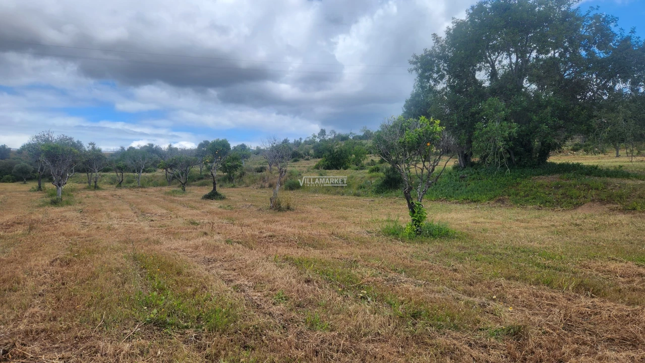 Terreno para Venda em Quelfes Foto 18