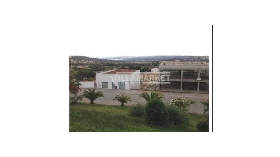 Terreno para Venda em Alvito Foto 4