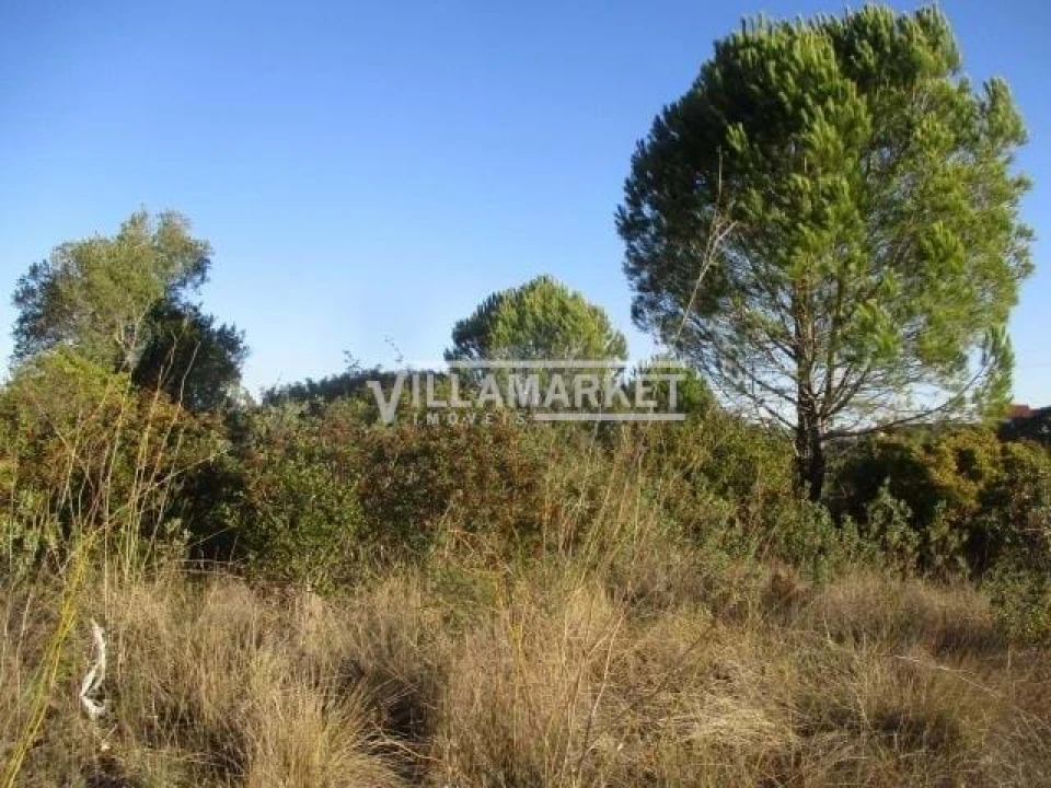 Terreno para Venda em Carregueiros Foto 10