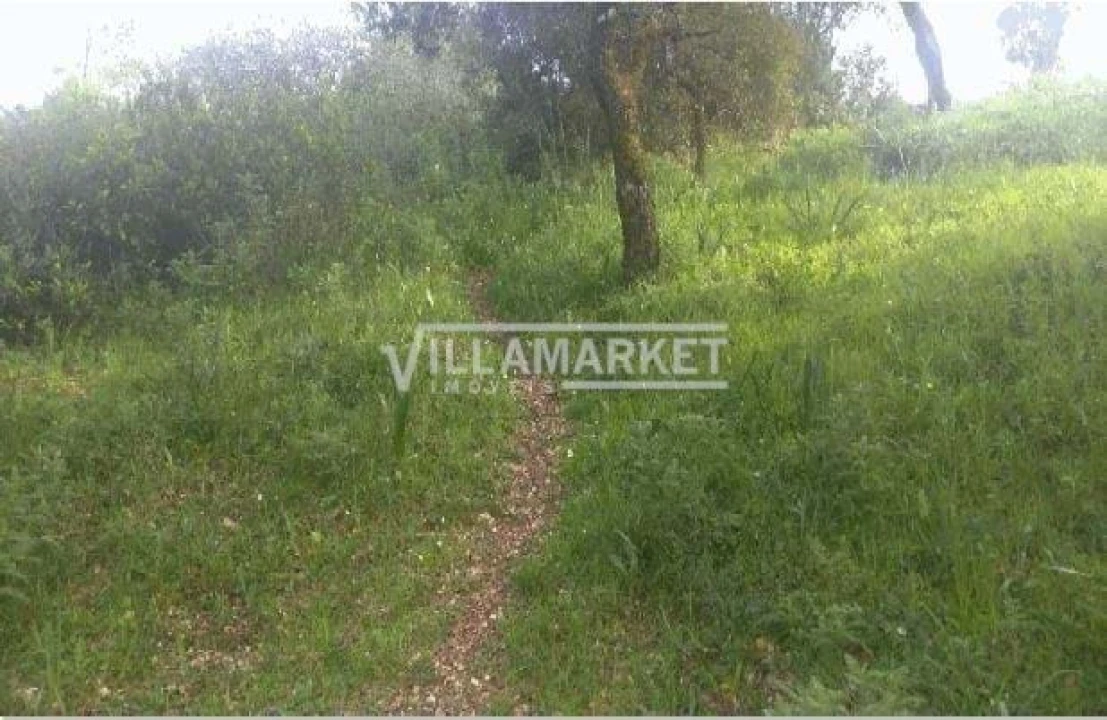 Terreno para Venda em Carregueiros Foto 6