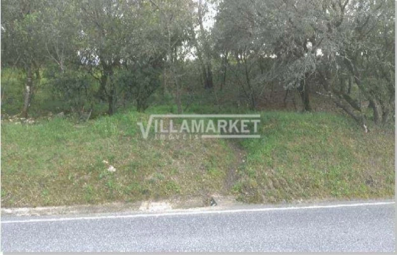 Terreno para Venda em Carregueiros Foto 4