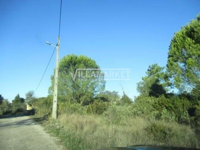Terreno para Venda em Carregueiros Foto 12