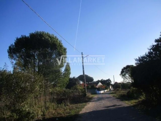 Terreno para Venda em Carregueiros Foto 9