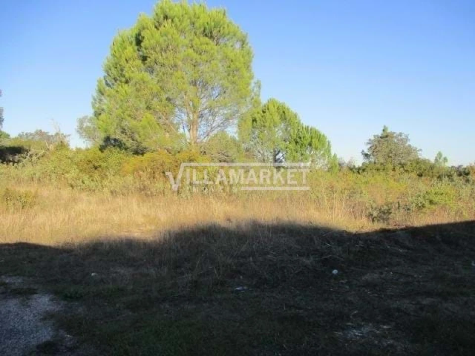 Terreno para Venda em Carregueiros Foto 11