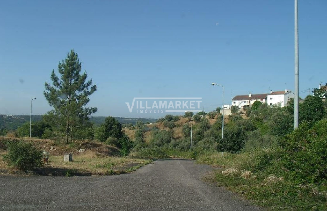 Terreno para Venda em Abrantes (São Vicente e São João) e Alferrarede Foto 1