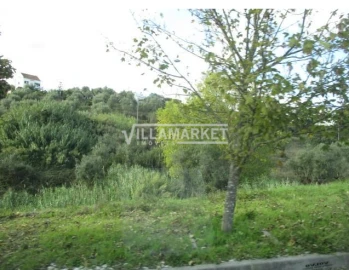 Terreno para Venda em Abrantes (São Vicente e São João) e Alferrarede