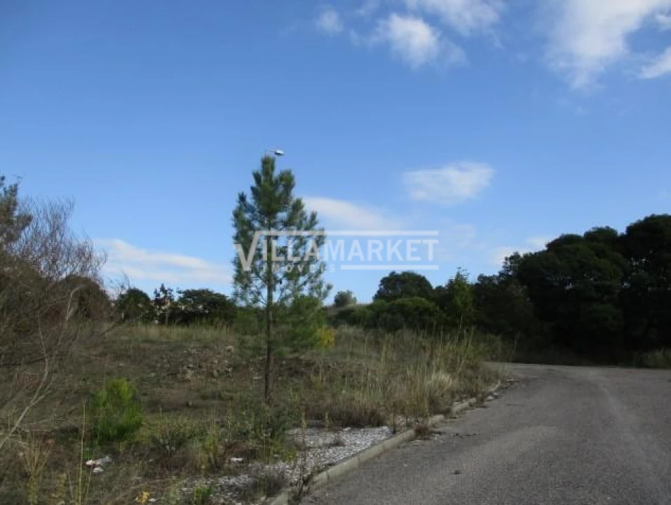 Terreno para Venda em Abrantes (São Vicente e São João) e Alferrarede Foto 7