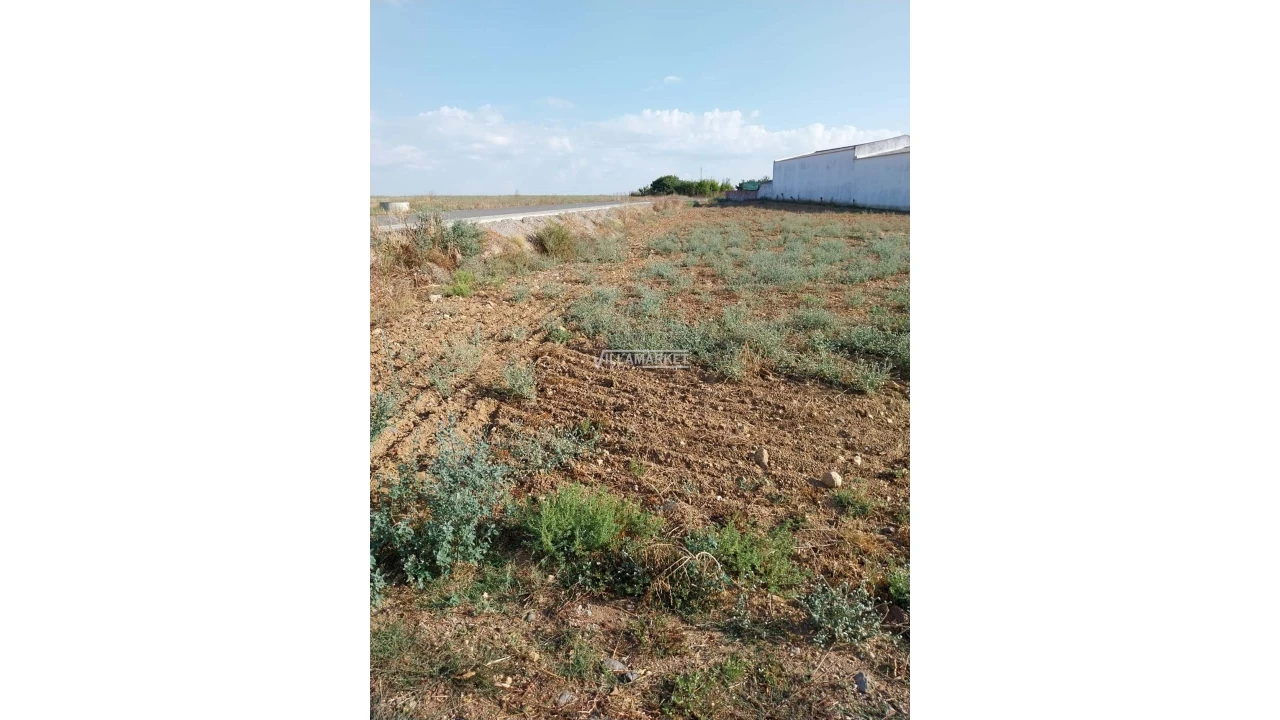 Terreno para Venda em São João de Negrilhos Foto 3