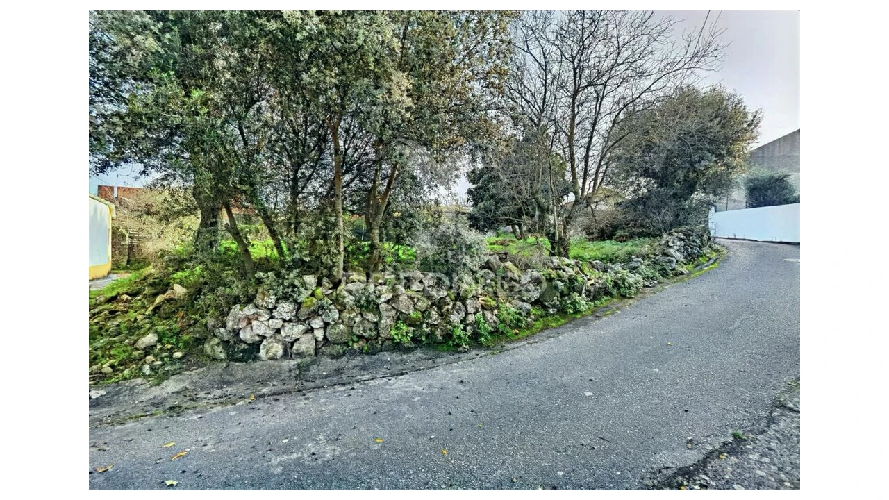 Moradia T3 para Venda em Malhou, Louriceira e Espinheiro Foto 11