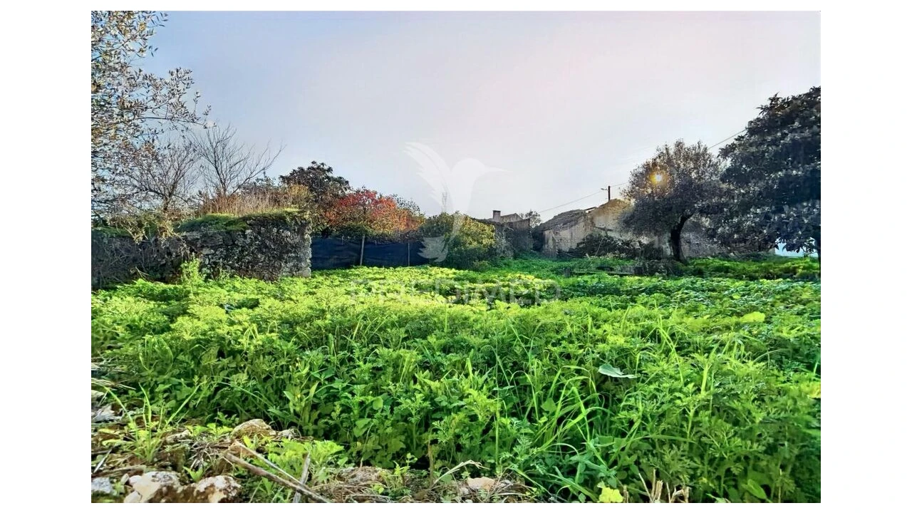 Moradia T3 para Venda em Malhou, Louriceira e Espinheiro Foto 14