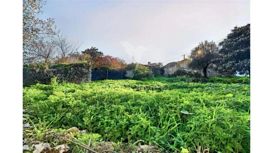Moradia T3 para Venda em Malhou, Louriceira e Espinheiro Foto 14