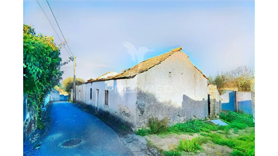 Moradia T3 para Venda em Malhou, Louriceira e Espinheiro Foto 5