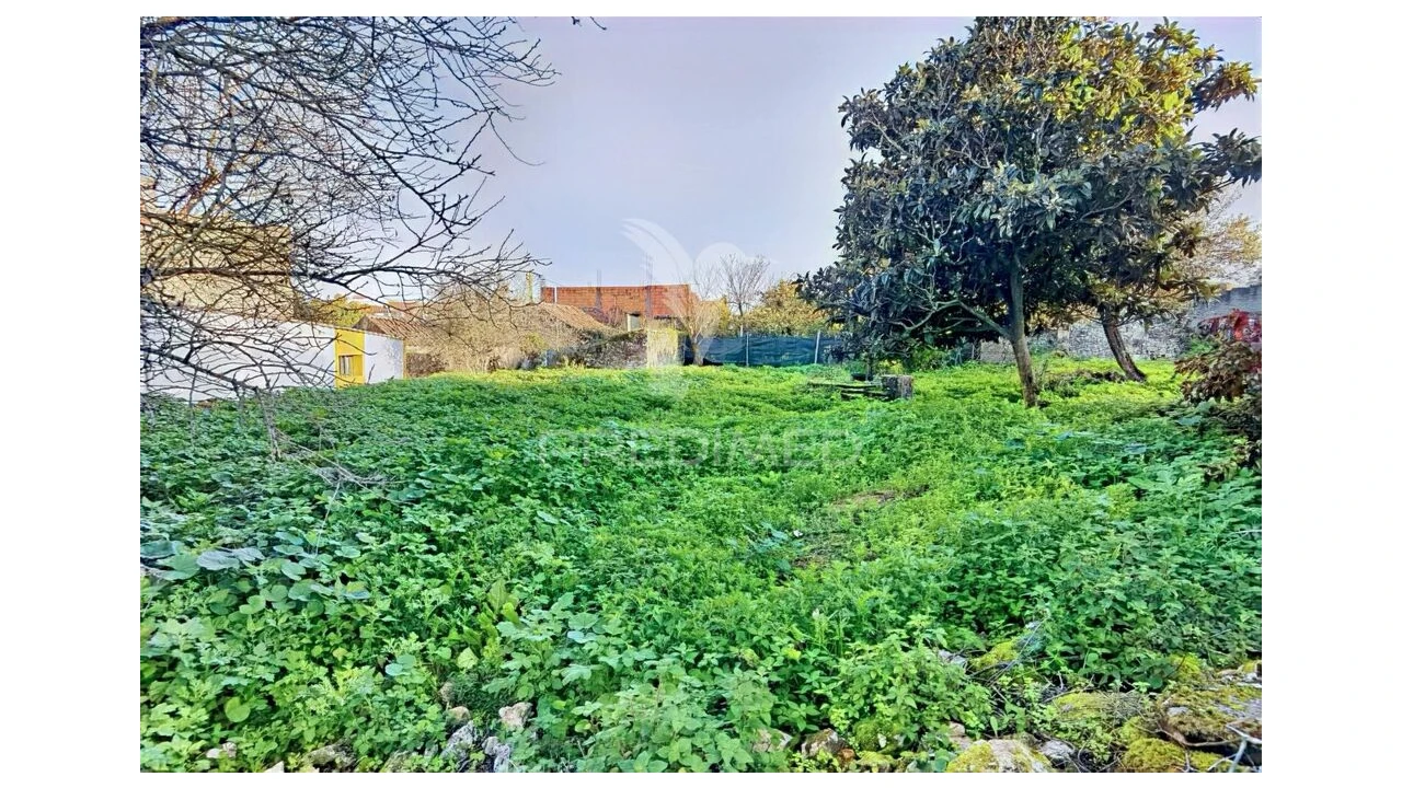 Moradia T3 para Venda em Malhou, Louriceira e Espinheiro Foto 12