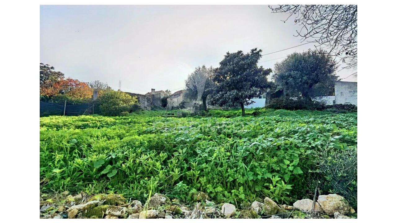 Moradia T3 para Venda em Malhou, Louriceira e Espinheiro Foto 13