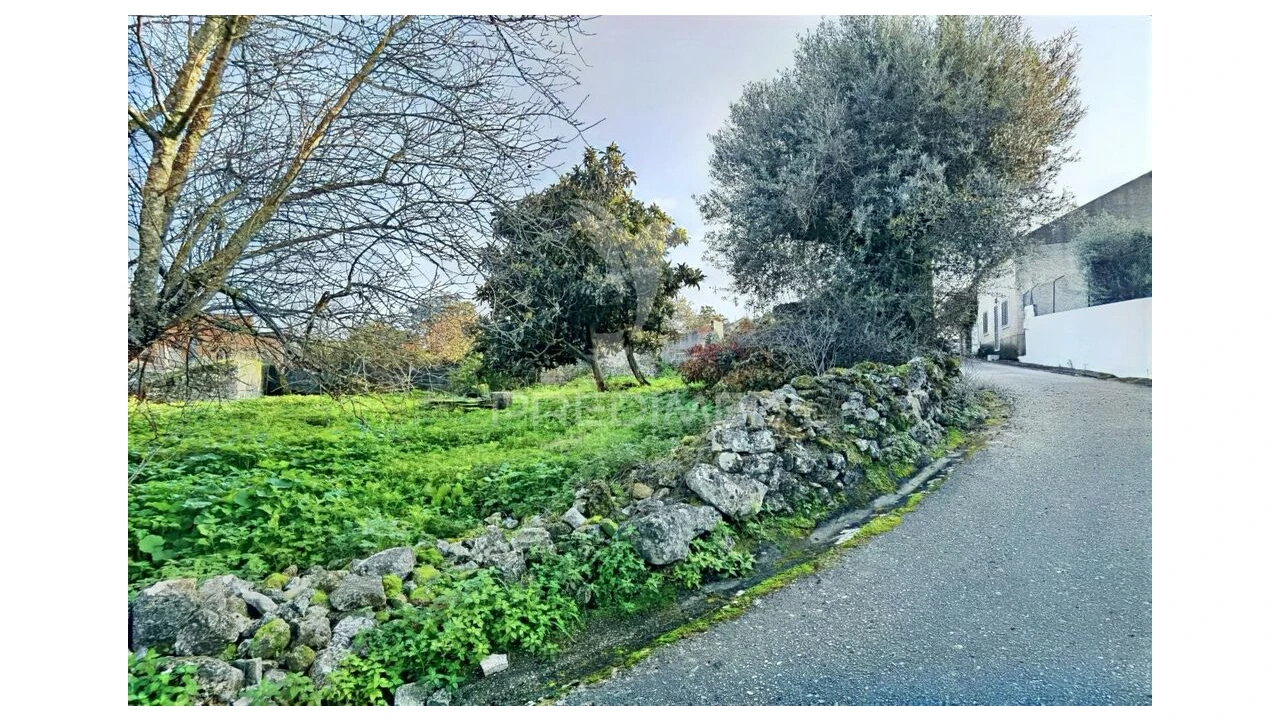 Moradia T3 para Venda em Malhou, Louriceira e Espinheiro Foto 15