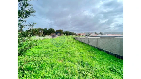 Terreno para Venda em Anta e Guetim