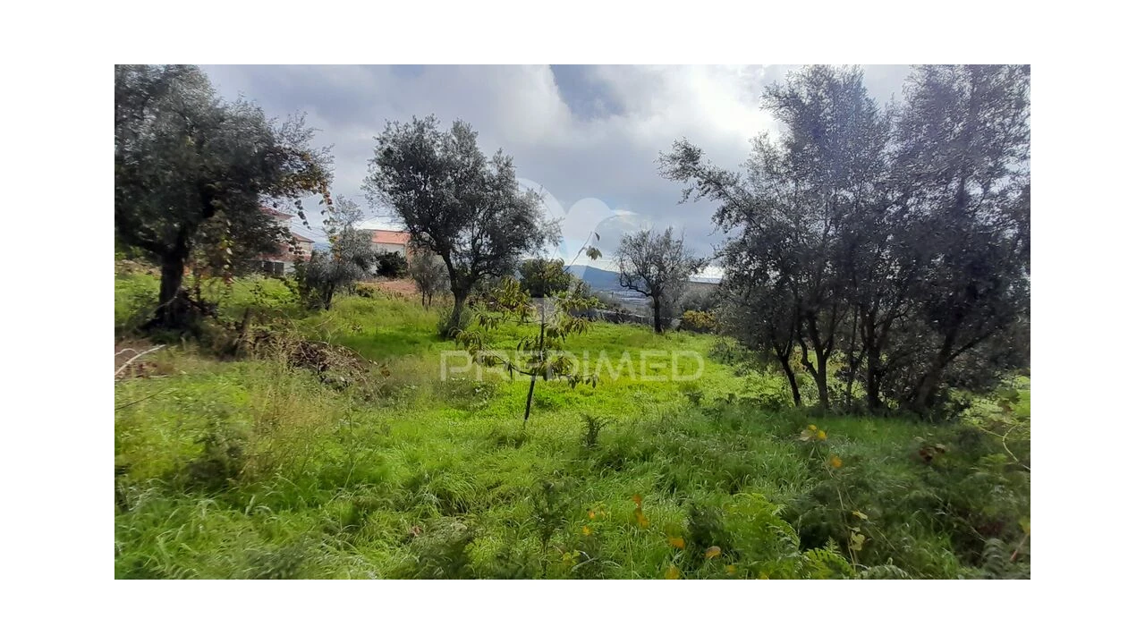 Terreno para Venda em Tortosendo Foto 13