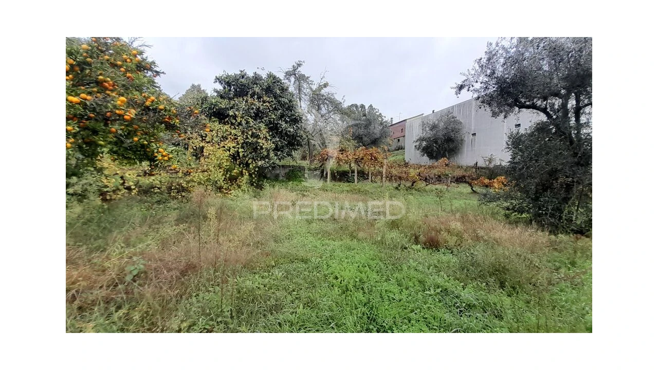 Terreno para Venda em Tortosendo Foto 18