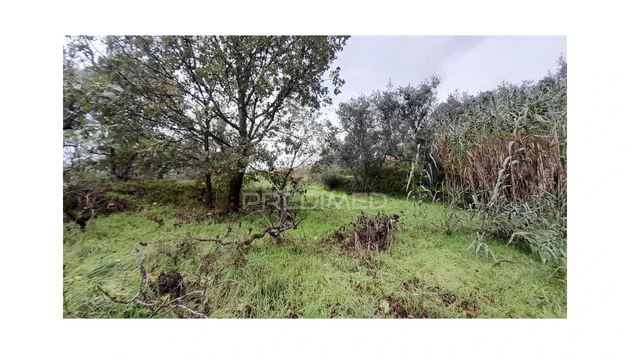 Terreno para Venda em Tortosendo Foto 6