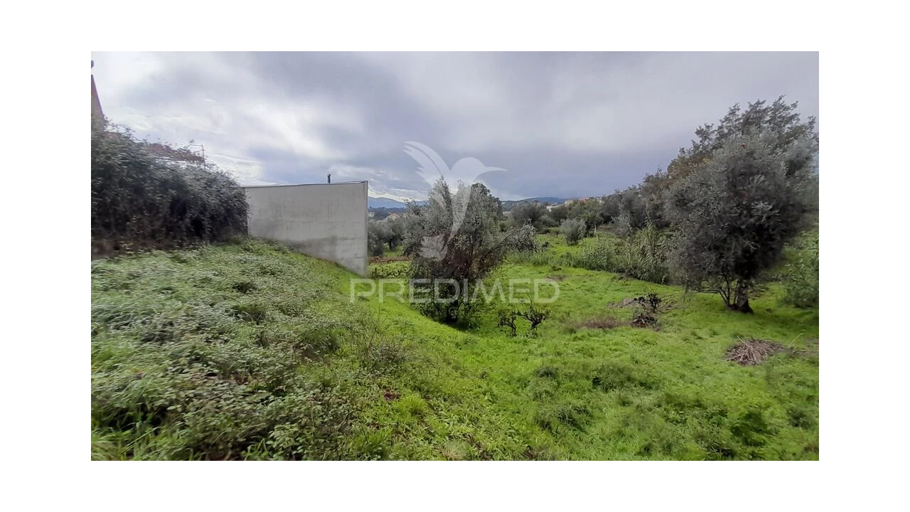 Terreno para Venda em Tortosendo Foto 3