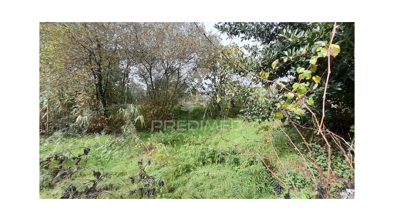 Terreno para Venda em Tortosendo Foto 12