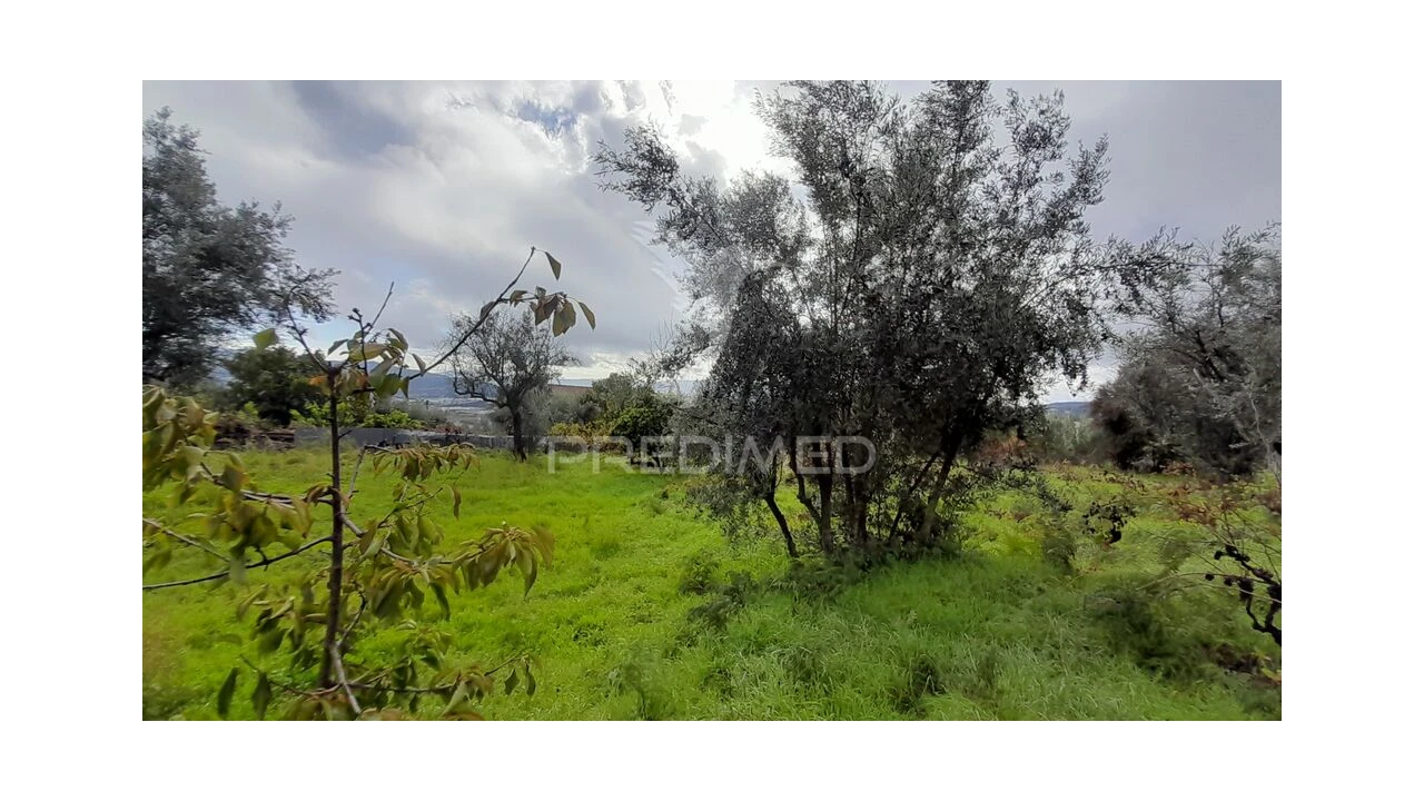 Terreno para Venda em Tortosendo Foto 15