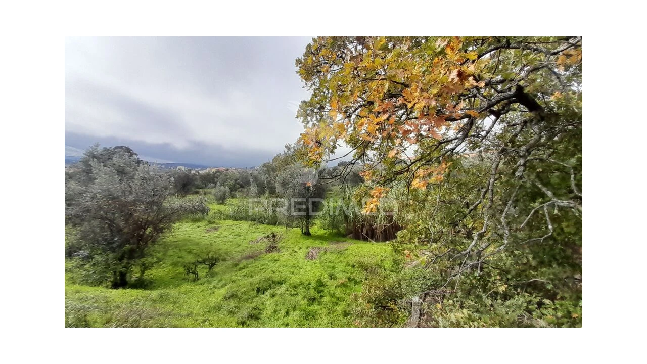 Terreno para Venda em Tortosendo Foto 2