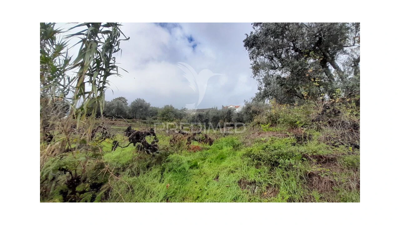 Terreno para Venda em Tortosendo Foto 10