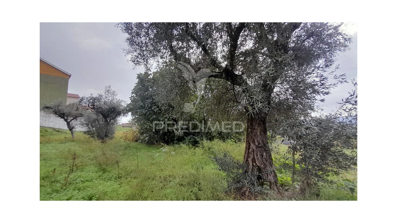 Terreno para Venda em Tortosendo Foto 17