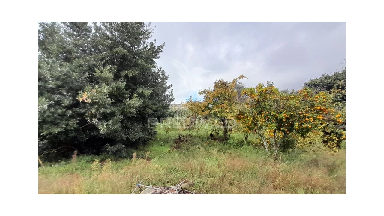 Terreno para Venda em Tortosendo Foto 16