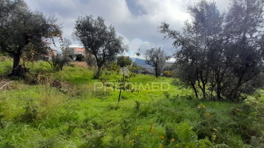 Terreno para Venda em Tortosendo Foto 13