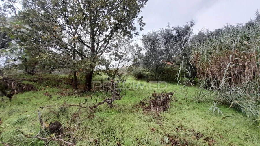 Terreno para Venda em Tortosendo Foto 6